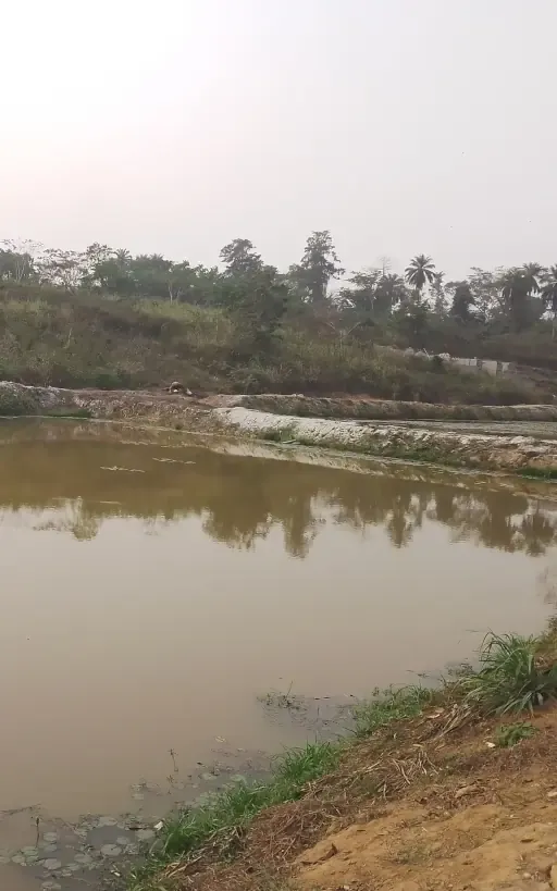 Une vue de nos étangs