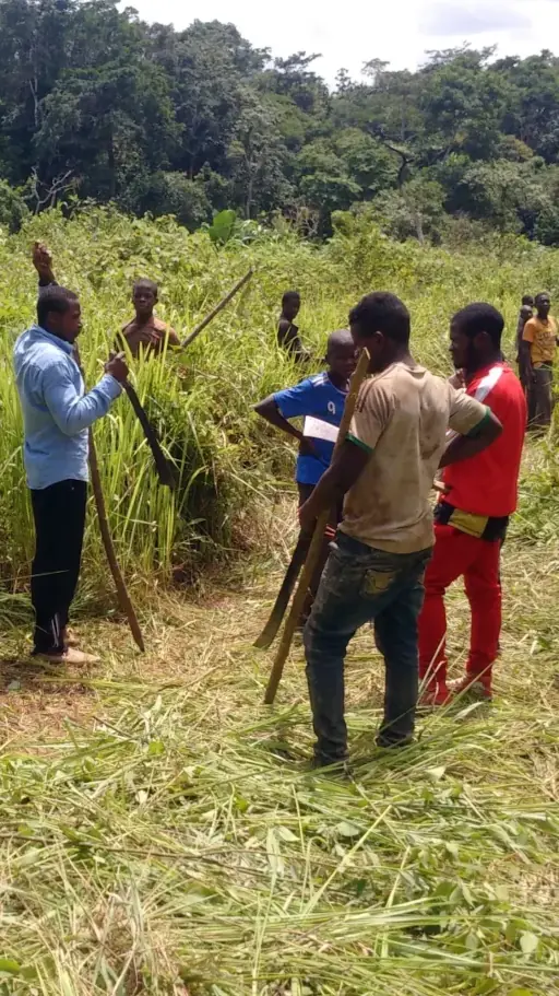 Des jeunes agriculteurs qui défrichent la forêt